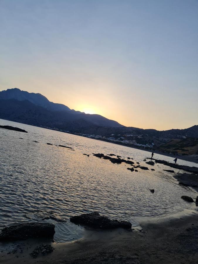 Villa Petrino Tsoútsouros エクステリア 写真